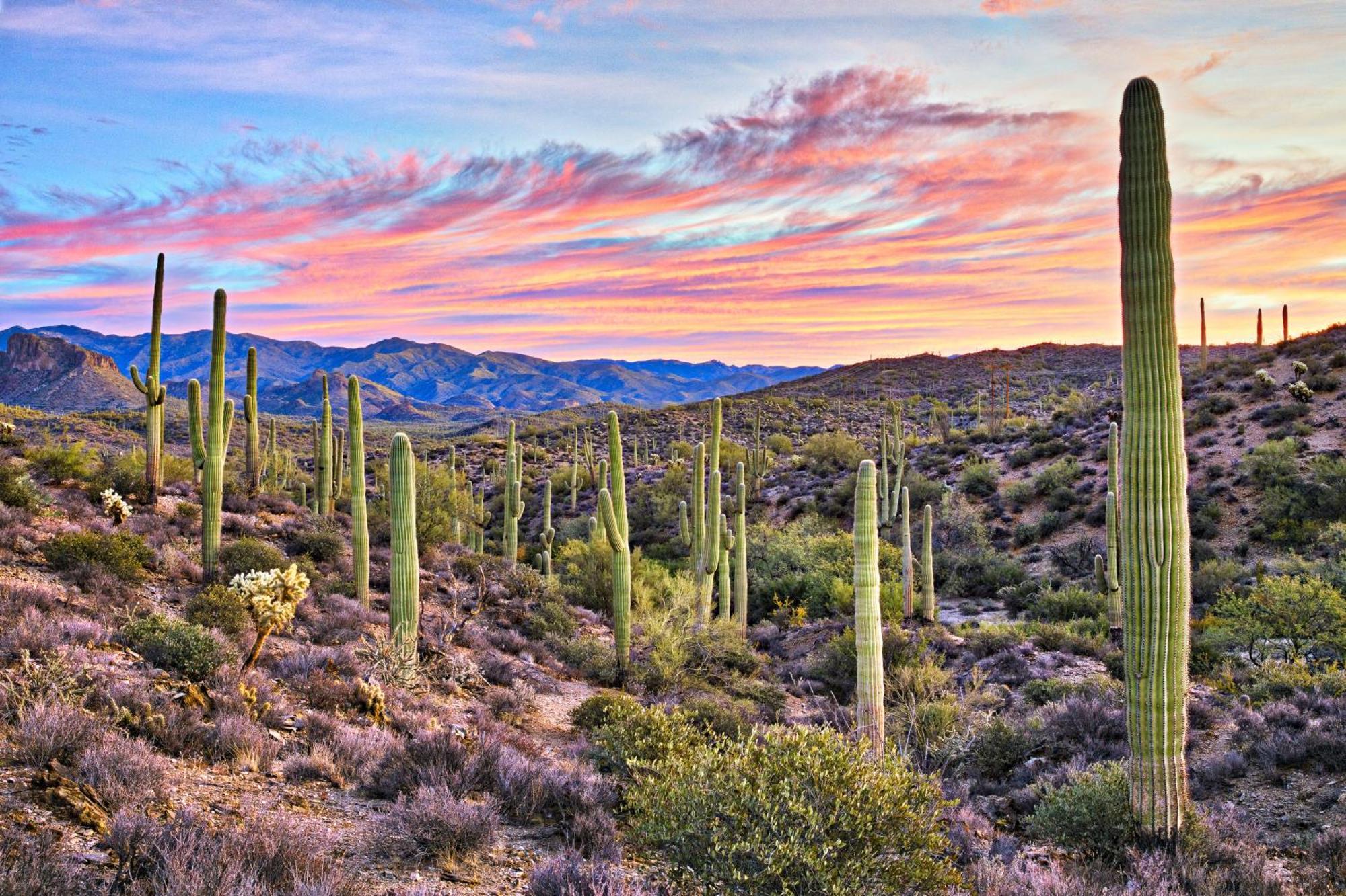 Clubgate & Kierland Escape * Scottsdale