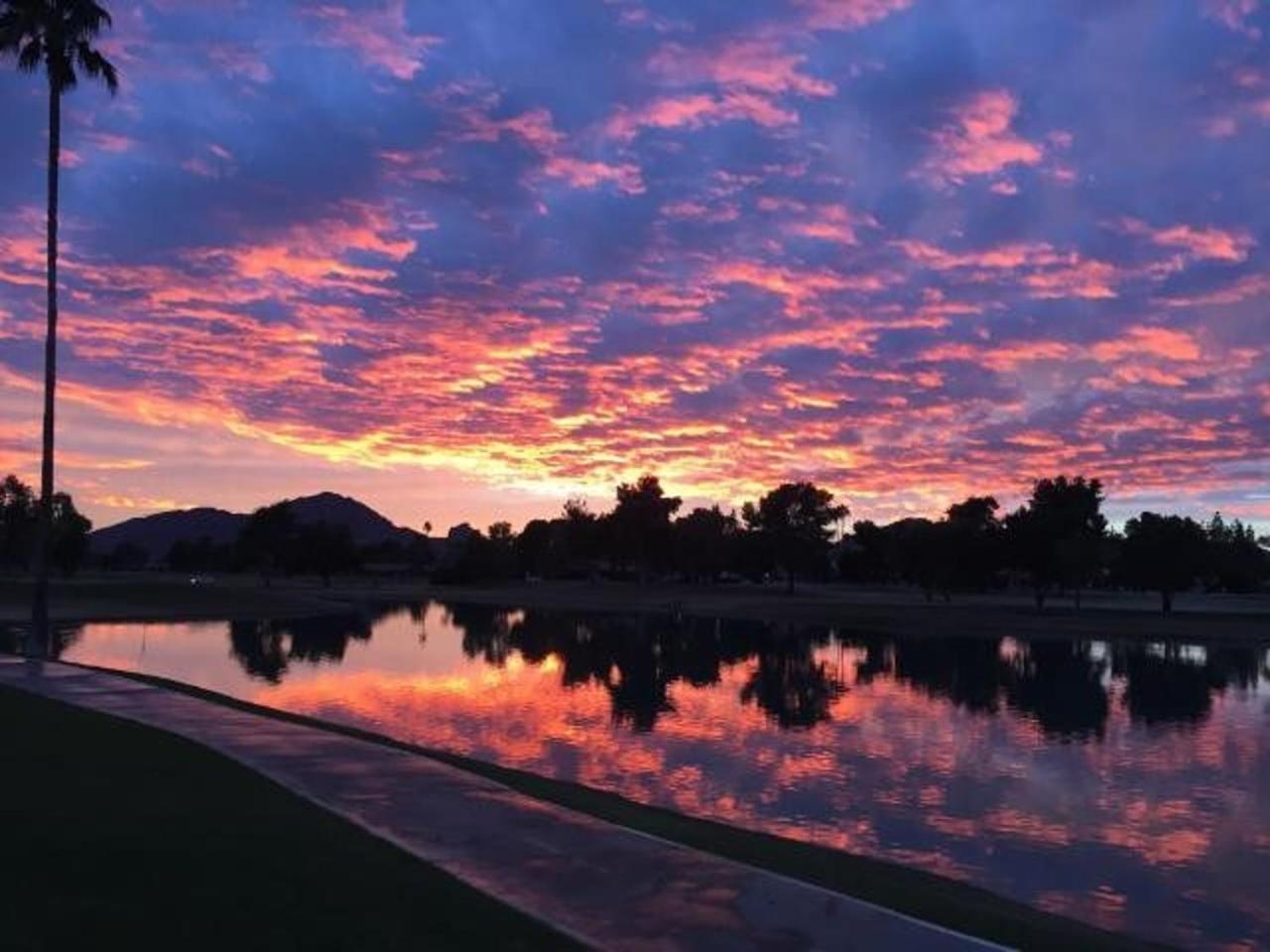 Holiday home Waterfront Views, Office, Main Floor, Walkable Scottsdale