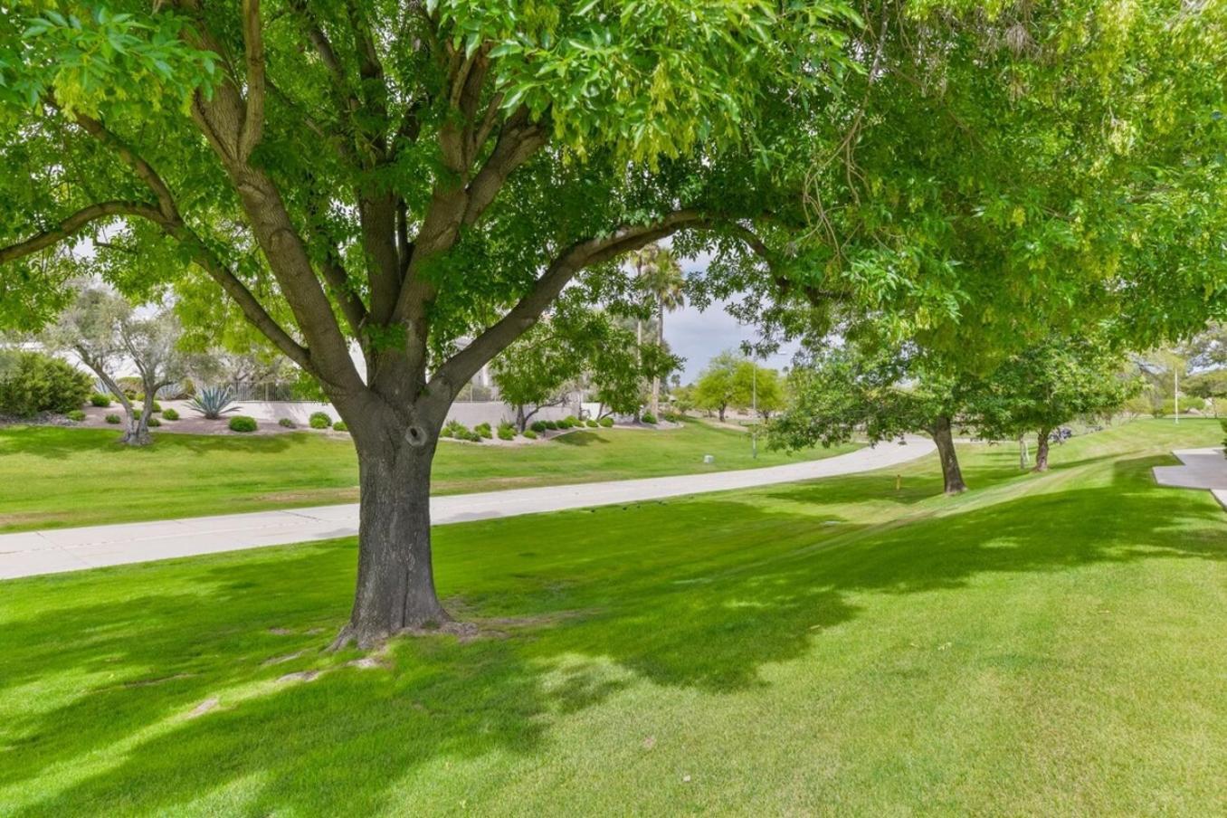 Peaceful Privacy-tennis-greenbelt-golf-walkable * Scottsdale