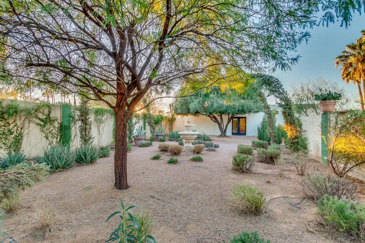 Olive Tree Retreat - Heated Pool, Patio & Privacy Scottsdale