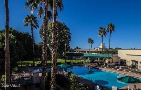 Royal Palm 217