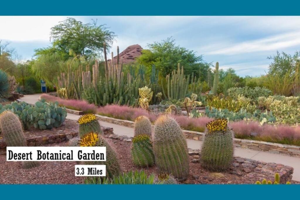 Casa - Outdoor Haven In Holiday home Scottsdale