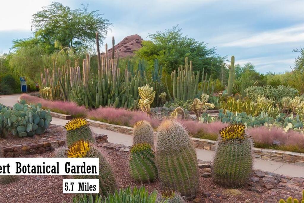 Holiday home Desert Rose - 4br Near Old Town *