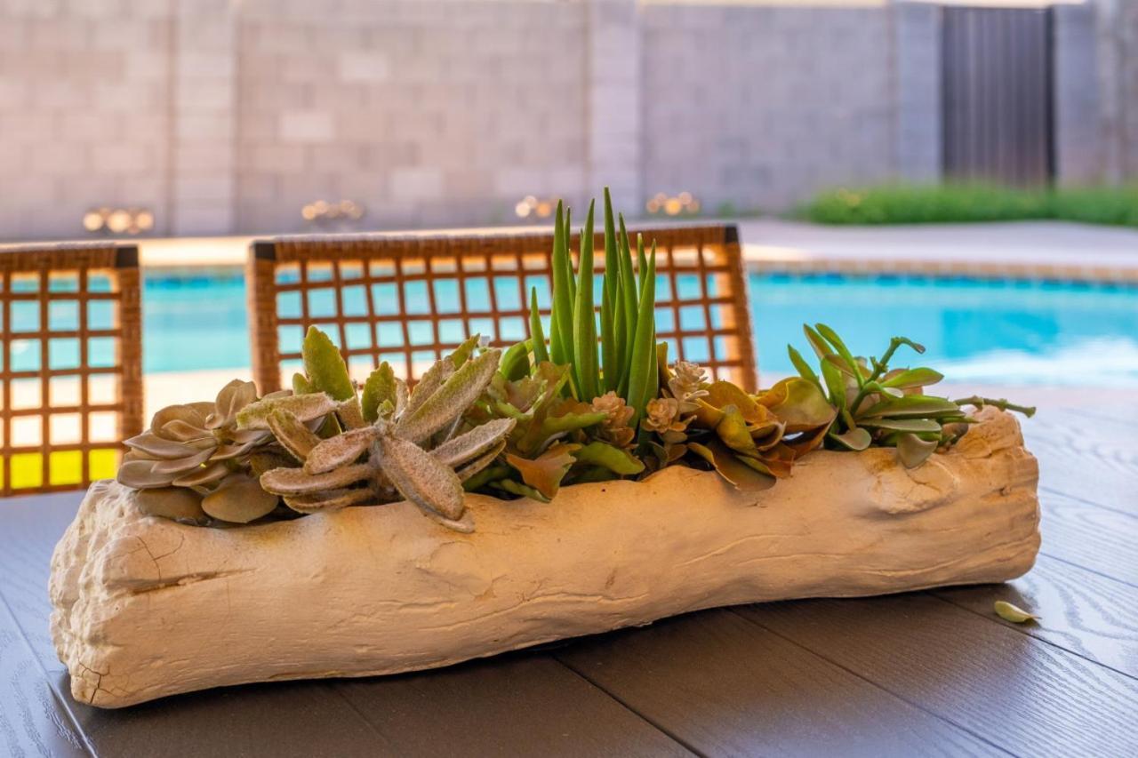 Gem! Pool, Patio, & Prime Location! Scottsdale
