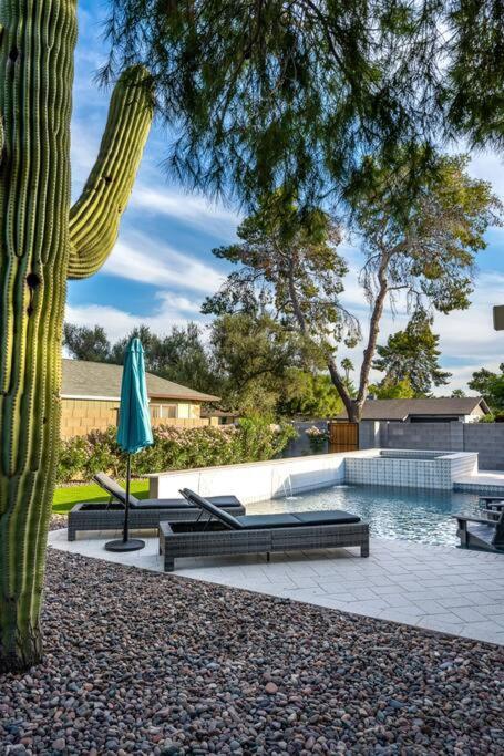Dos Cacti Outdoor Oasis, Heated Pool, Spa, Bikes, Ev, Bbq