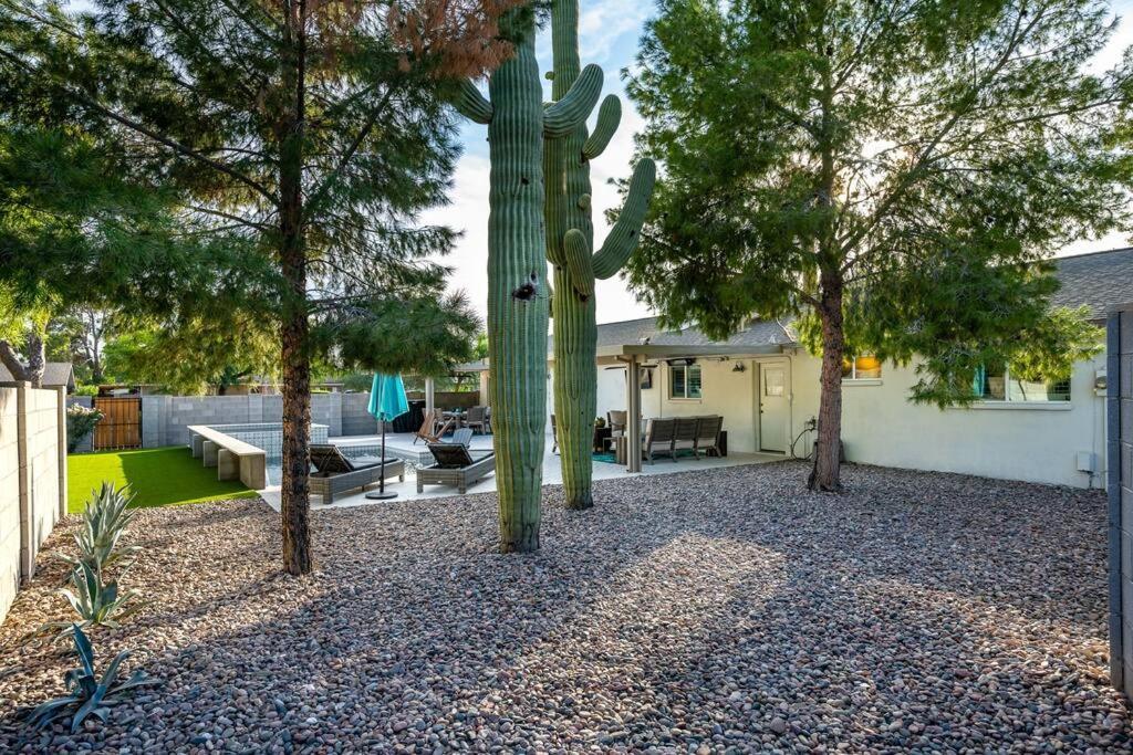 Dos Cacti Outdoor Oasis, Heated Pool, Spa, Bikes, Ev, Bbq * Scottsdale