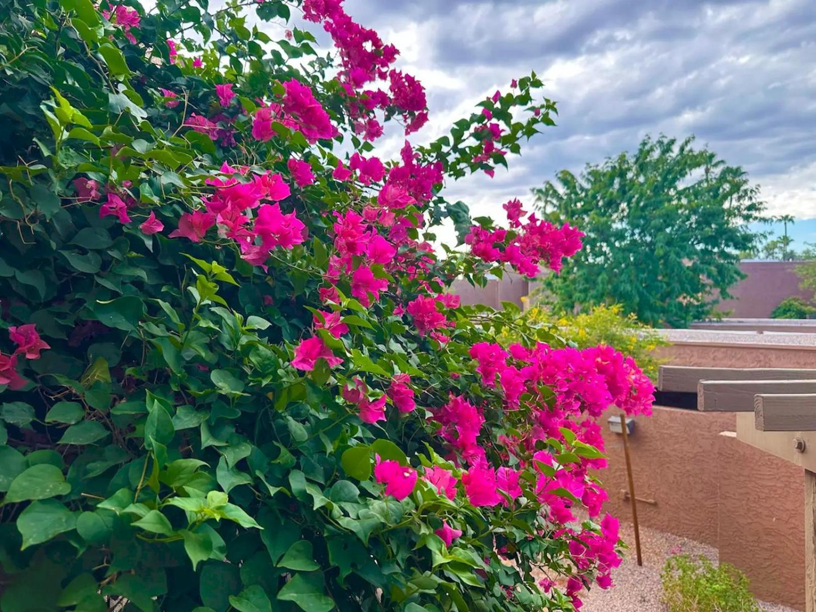 Holiday home 10 Scottsdaleresortvillas By Americanvacationliving