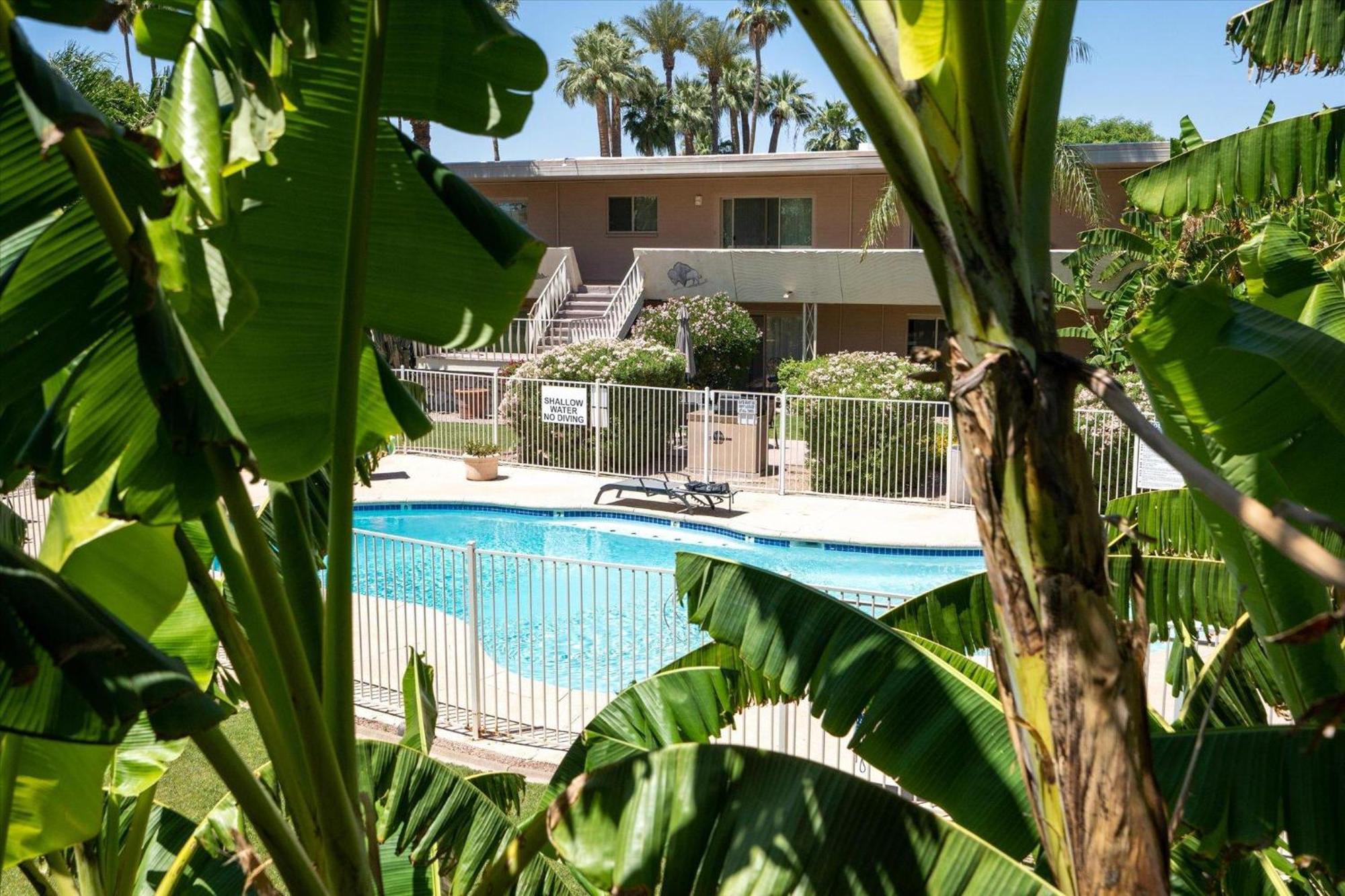 Tropical Abode * Scottsdale