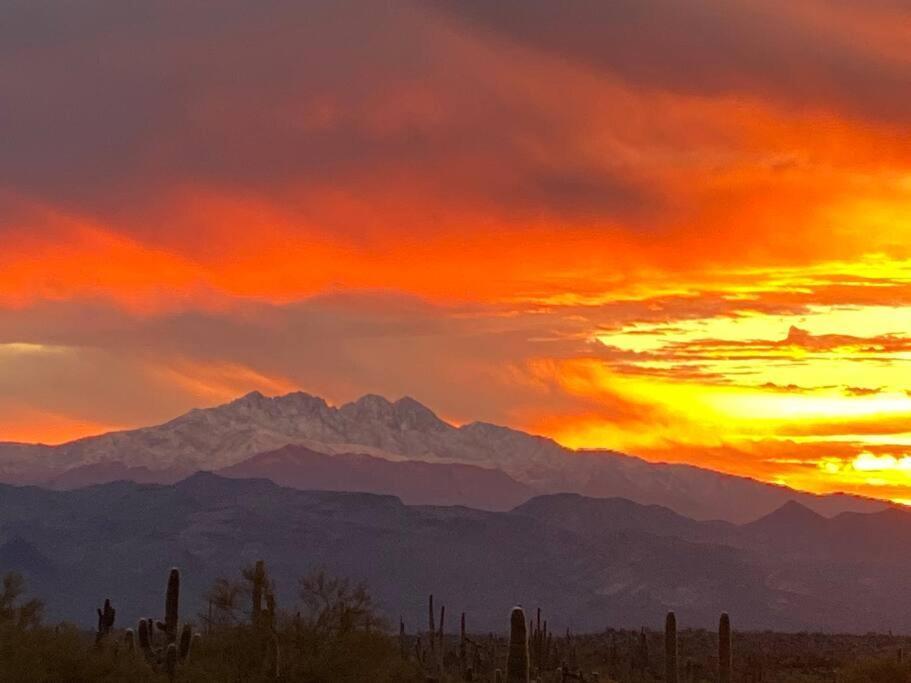 Serene & Secluded - Heart Of The Sonoran Desert Bunkhouse Casita * Scottsdale