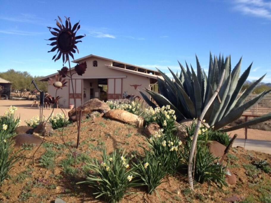 Serene & Secluded - Heart Of The Sonoran Desert Bunkhouse Casita Apartment Scottsdale