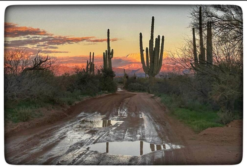 Serene & Secluded - Heart Of The Sonoran Desert Bunkhouse Casita