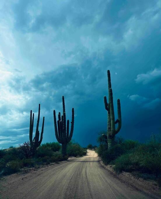 Serene & Secluded - Heart Of The Sonoran Desert Bunkhouse Casita Apartment