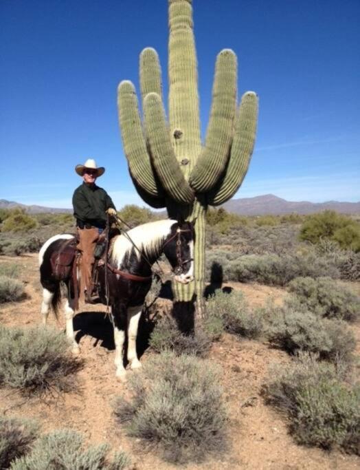 Apartment Serene & Secluded - Heart Of The Sonoran Desert Bunkhouse Casita *