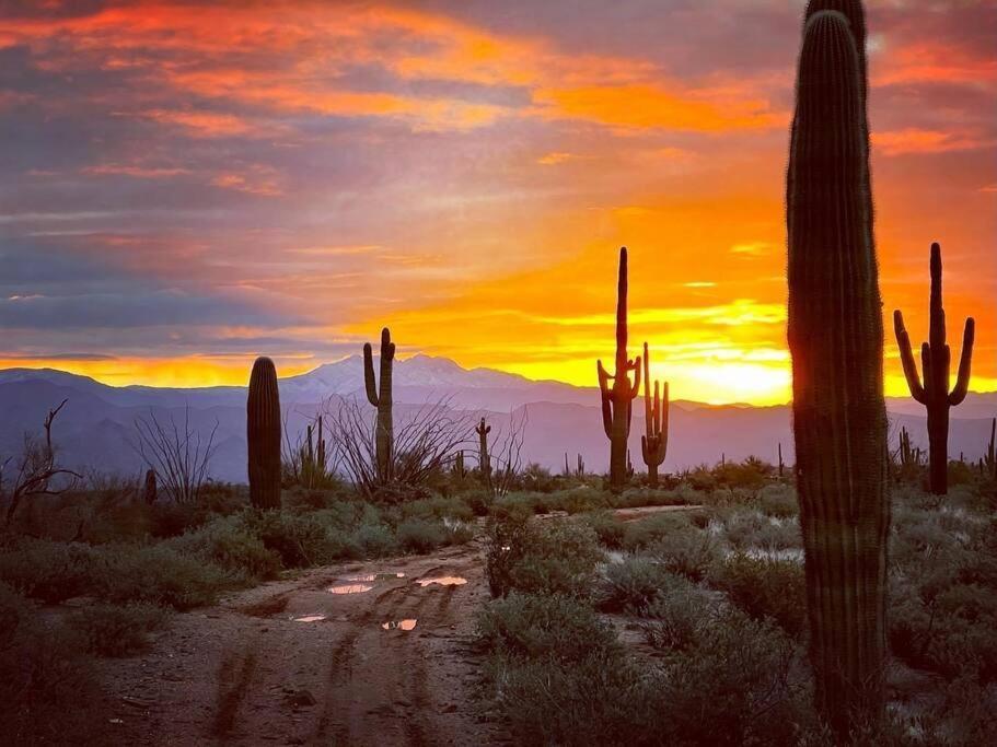 Serene & Secluded - Heart Of The Sonoran Desert Bunkhouse Casita Apartment Scottsdale