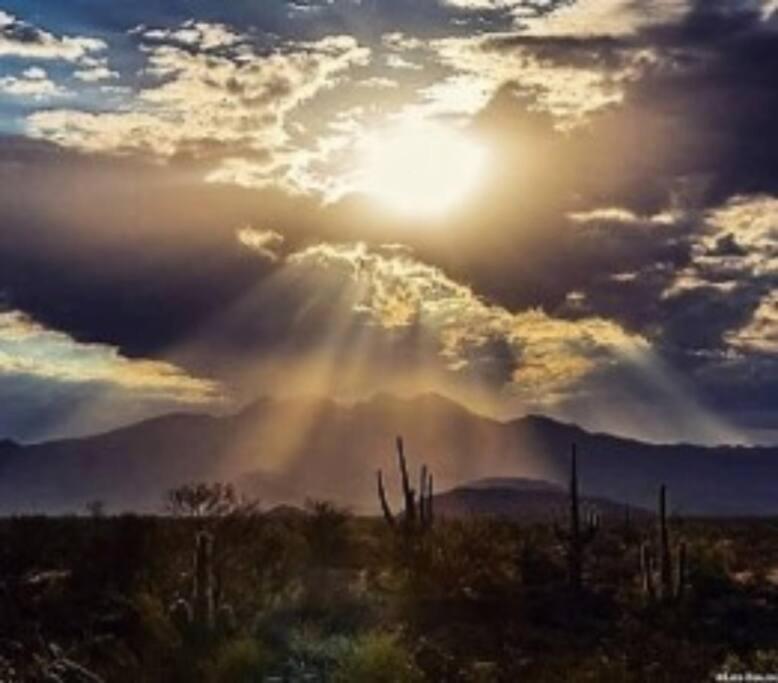 Serene & Secluded - Heart Of The Sonoran Desert Bunkhouse Casita * Scottsdale