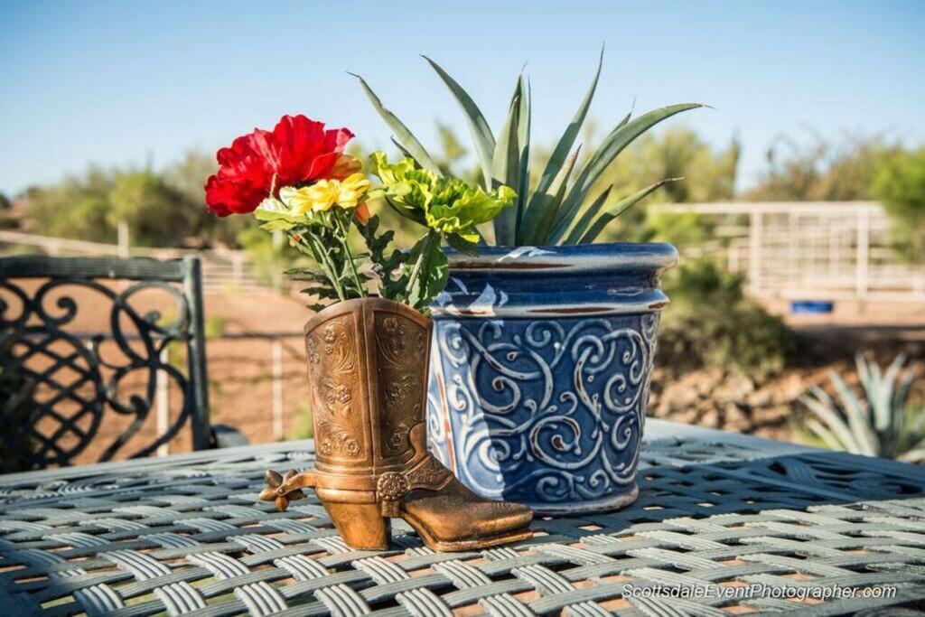 Serene & Secluded - Heart Of The Sonoran Desert Bunkhouse Casita Apartment Scottsdale