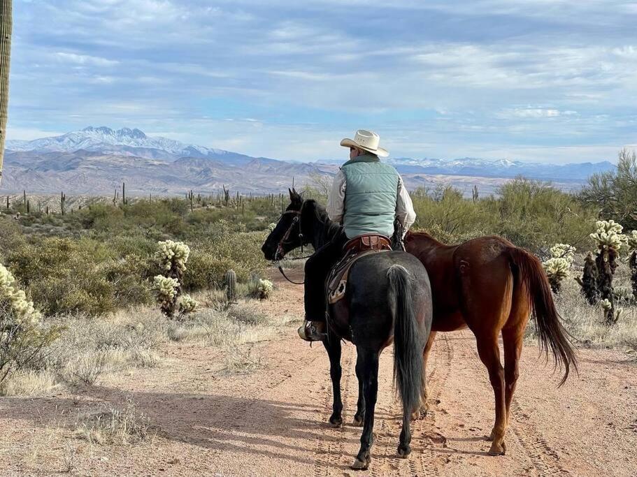 Serene & Secluded - Heart Of The Sonoran Desert Bunkhouse Casita *