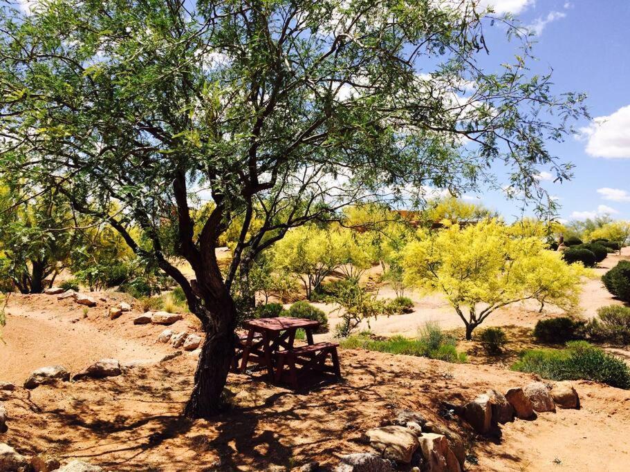 Serene & Secluded - Heart Of The Sonoran Desert Bunkhouse Casita Scottsdale