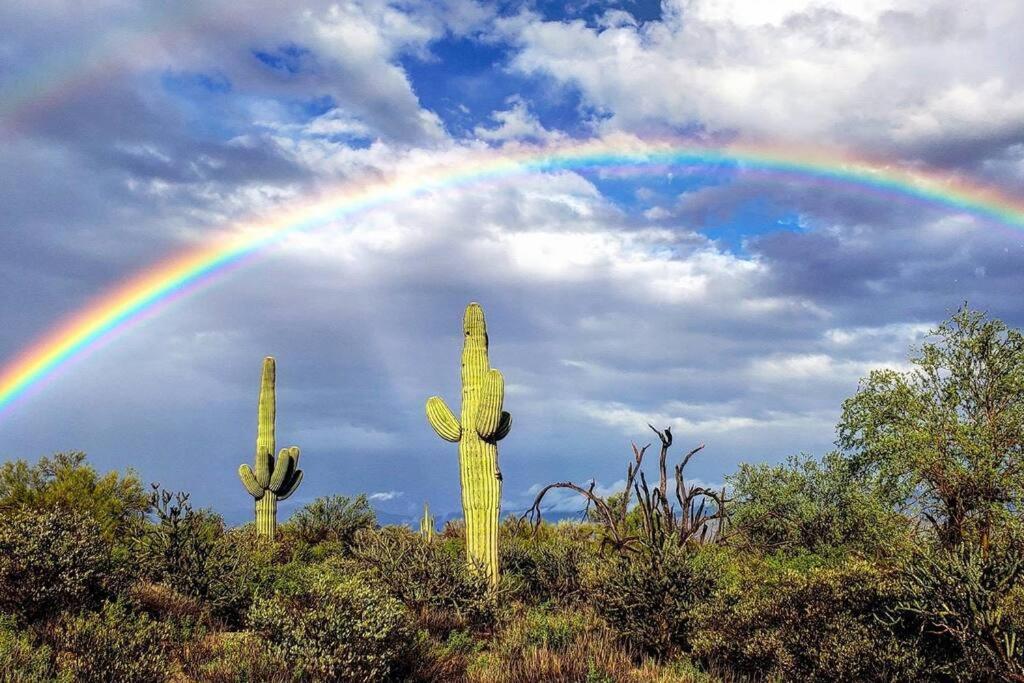 Serene & Secluded - Heart Of The Sonoran Desert Bunkhouse Casita Apartment