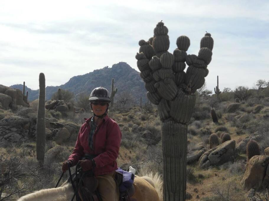 Serene & Secluded - Heart Of The Sonoran Desert Bunkhouse Casita Apartment Scottsdale