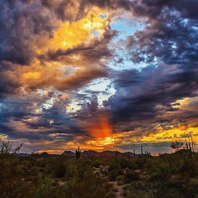 Serene & Secluded - Heart Of The Sonoran Desert Bunkhouse Casita *