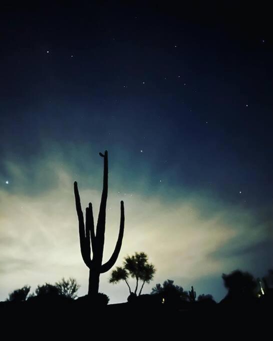 Serene & Secluded - Heart Of The Sonoran Desert Bunkhouse Casita * Scottsdale