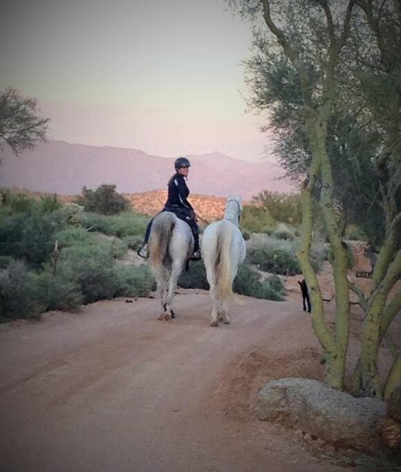 Serene & Secluded - Heart Of The Sonoran Desert Bunkhouse Casita