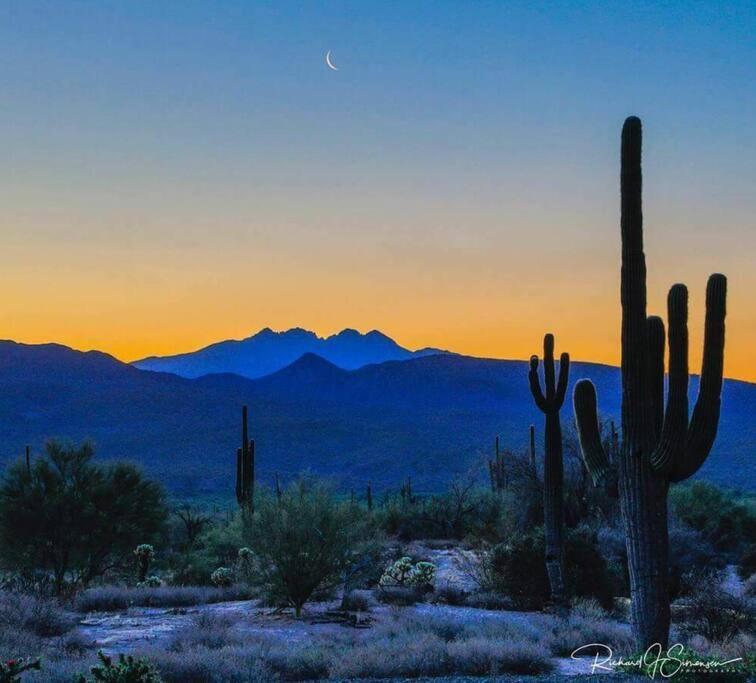Serene & Secluded - Heart Of The Sonoran Desert Bunkhouse Casita Apartment