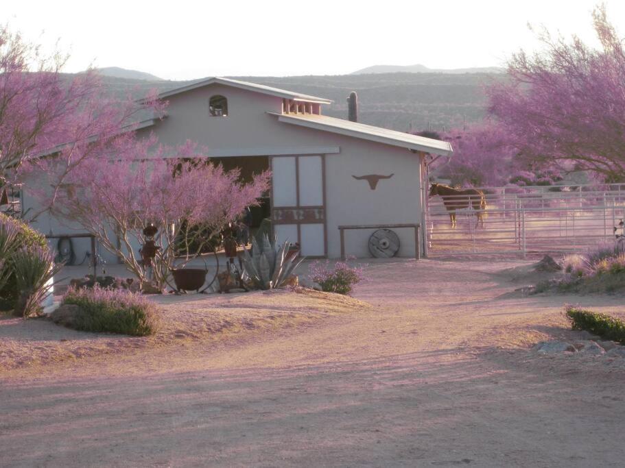 Apartment Serene & Secluded - Heart Of The Sonoran Desert Bunkhouse Casita