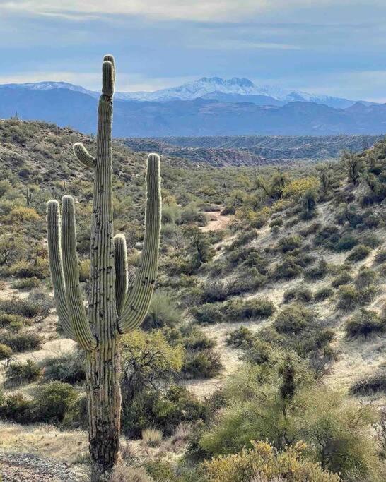 Serene & Secluded - Heart Of The Sonoran Desert Bunkhouse Casita Apartment Scottsdale