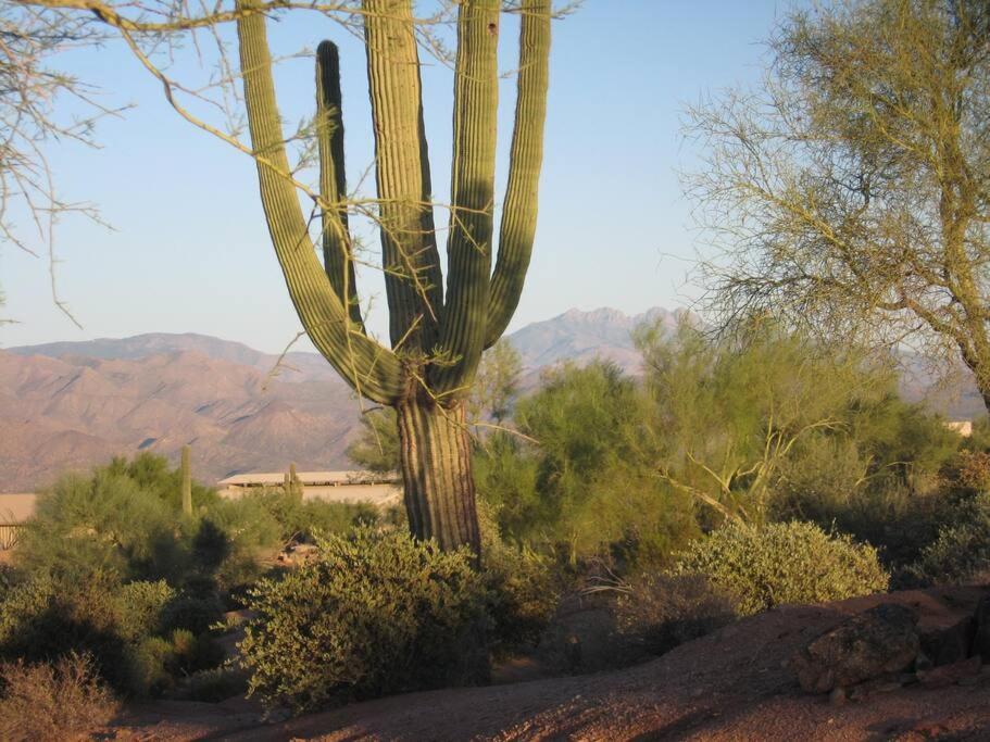 Serene & Secluded - Heart Of The Sonoran Desert Bunkhouse Casita Scottsdale