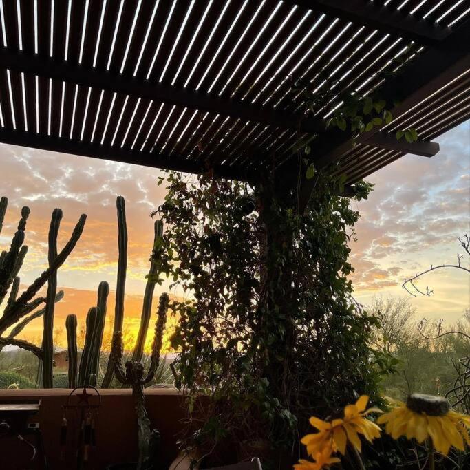 Serene & Secluded - Heart Of The Sonoran Desert Bunkhouse Casita Scottsdale