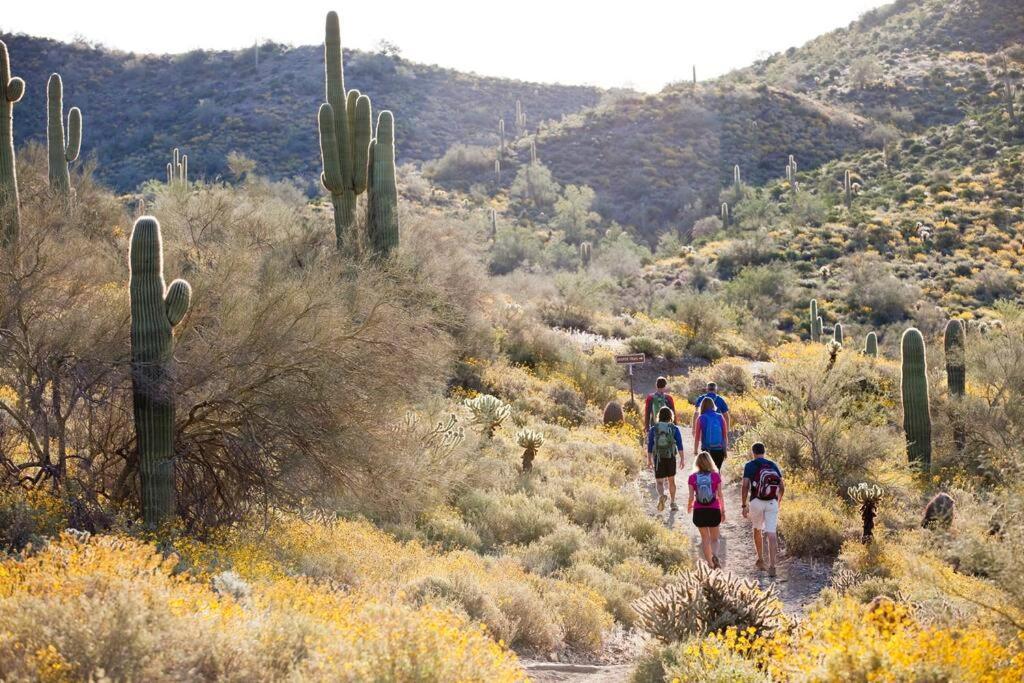 Serene & Secluded - Heart Of The Sonoran Desert Bunkhouse Casita Apartment Scottsdale