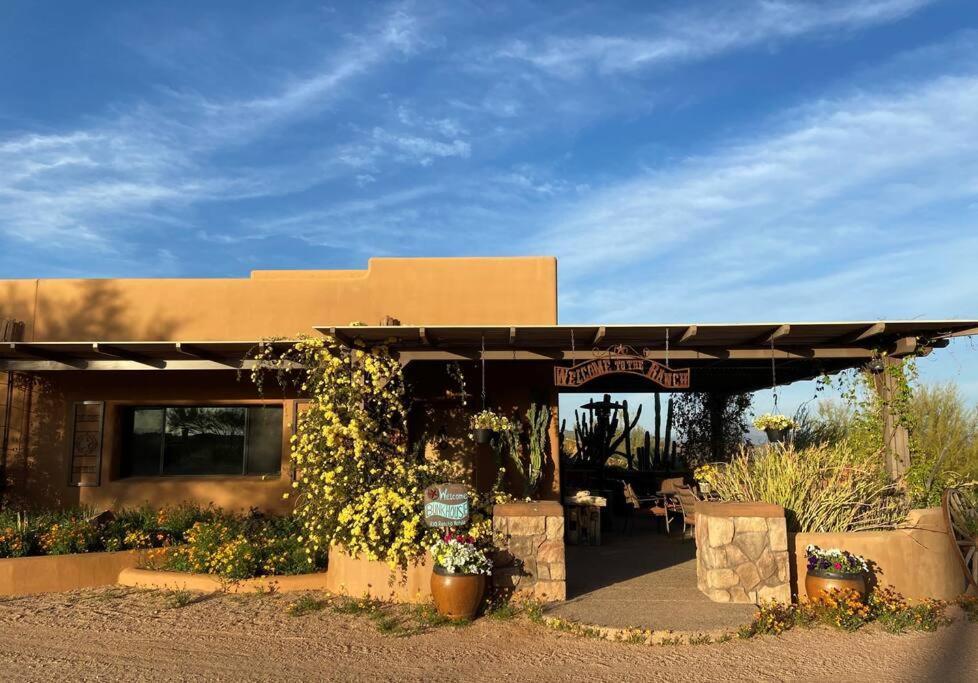 Serene & Secluded - Heart Of The Sonoran Desert Bunkhouse Casita *