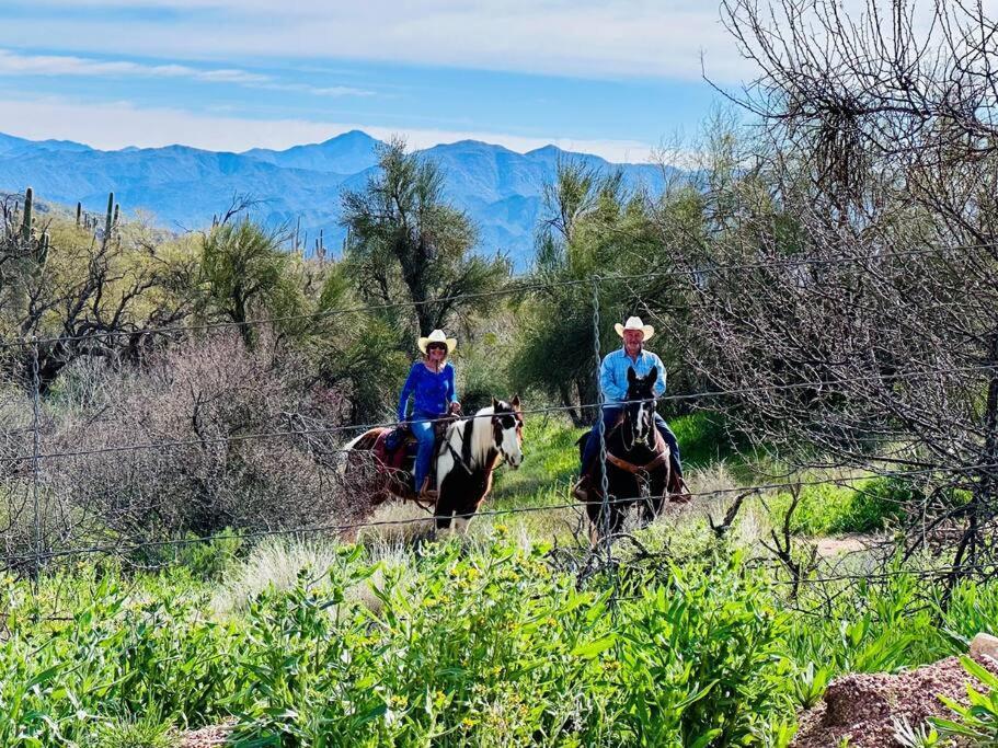 Serene & Secluded - Heart Of The Sonoran Desert Bunkhouse Casita *
