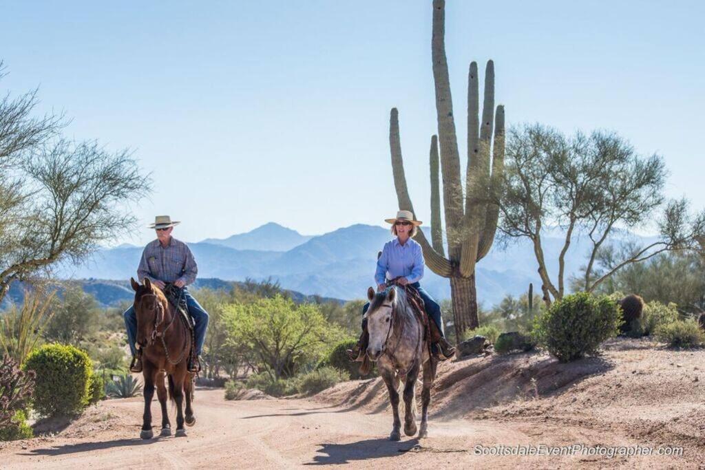 Serene & Secluded - Heart Of The Sonoran Desert Bunkhouse Casita