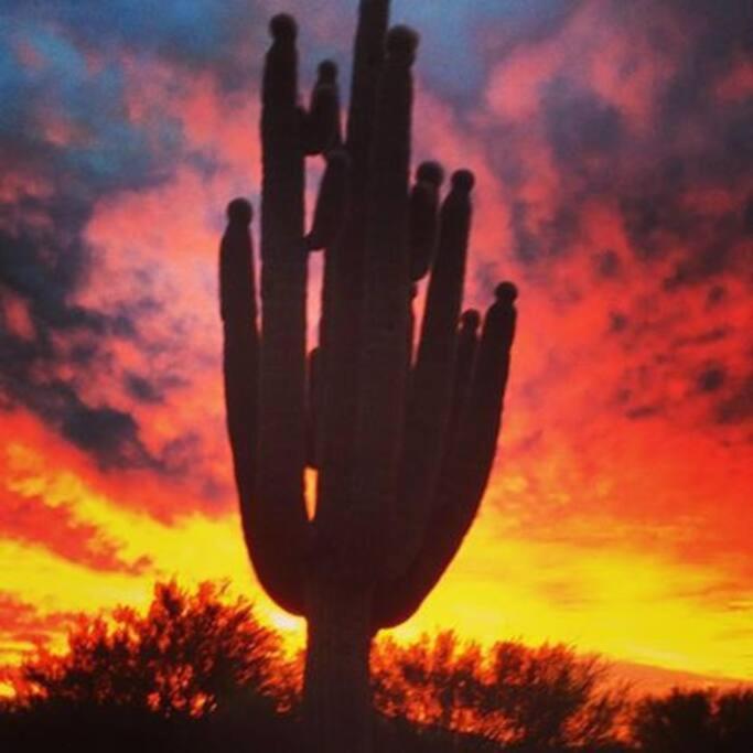 Apartment Serene & Secluded - Heart Of The Sonoran Desert Bunkhouse Casita Scottsdale