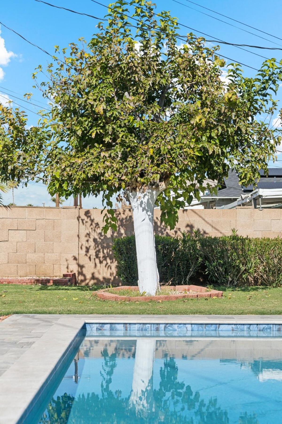 Renovated With Pool 3 Miles From Old Town Scottsdale