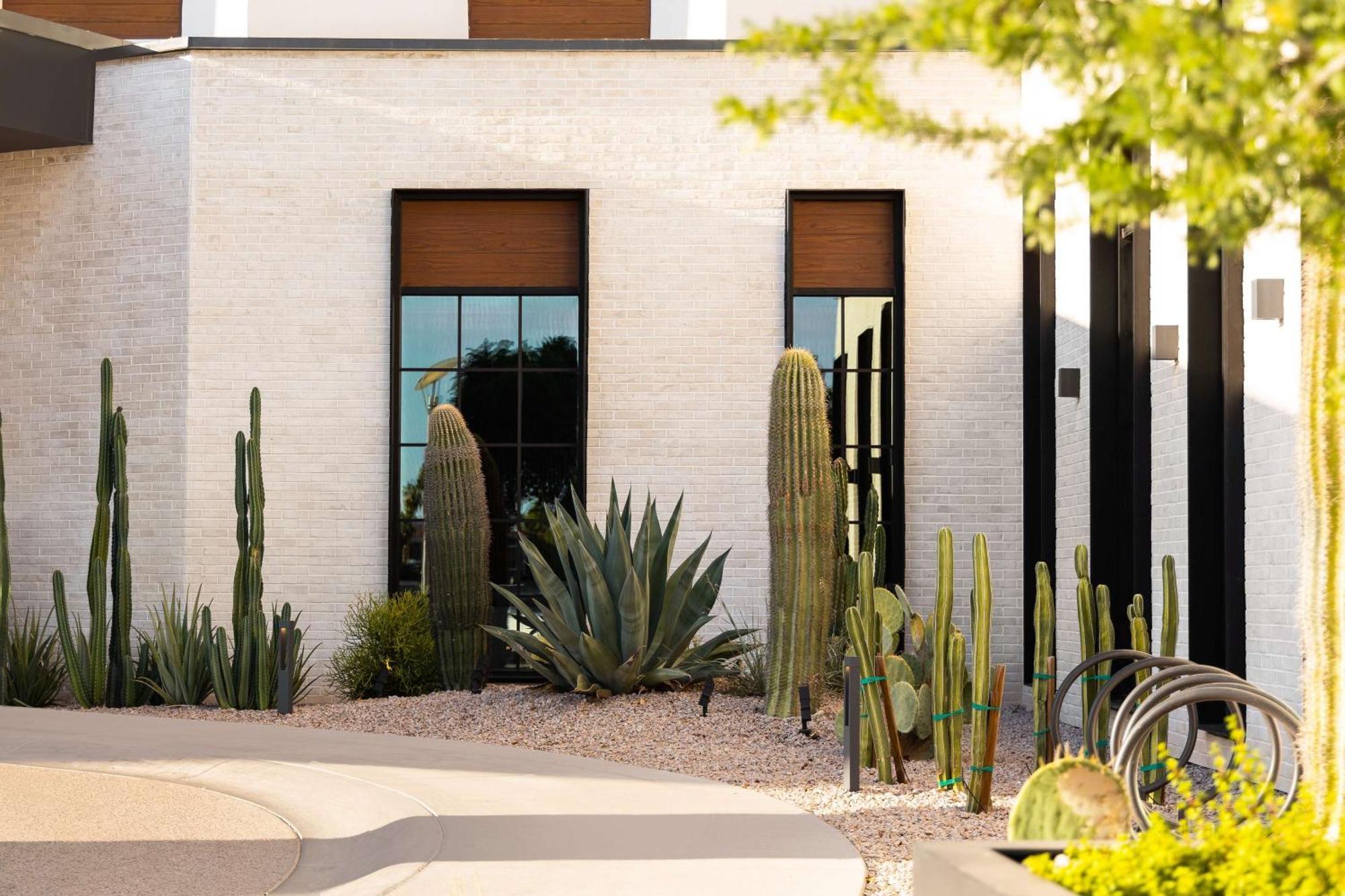 Senna House Scottsdale, Curio Collection By Hilton Hotel