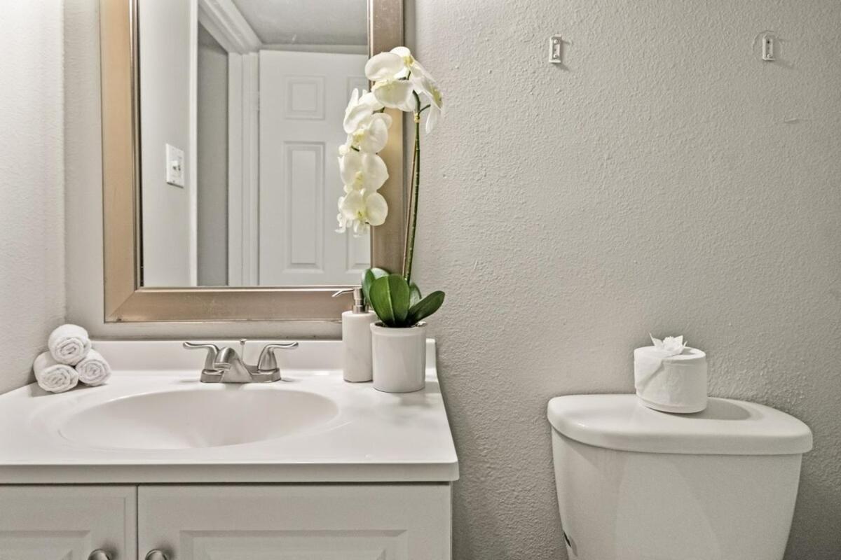 Trendy 2b1b Oasis In Old Town *