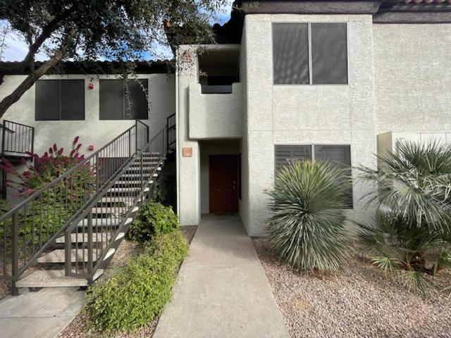 Cozy Cactus In Apartment Scottsdale