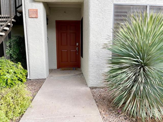 Cozy Cactus In Scottsdale