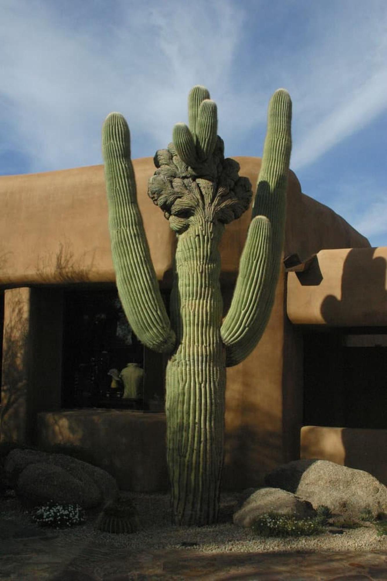 Bposhtels In Arizona Bed & Breakfast