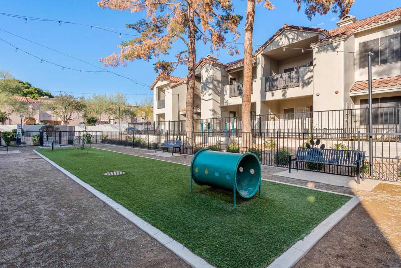 Modern Escape Pool Bbq Media *