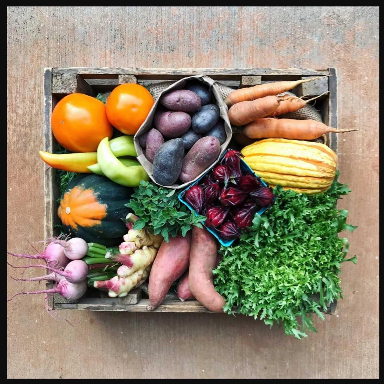 Old Town Farm-to-table - Gourmet Adventure With Pool *