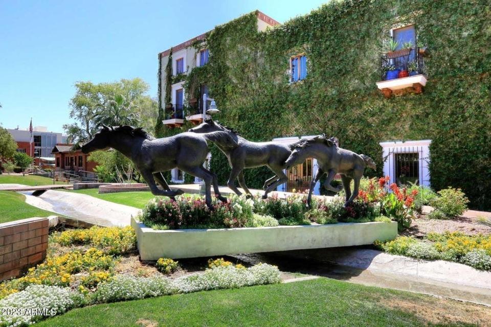 Miller Road 207a Scottsdale