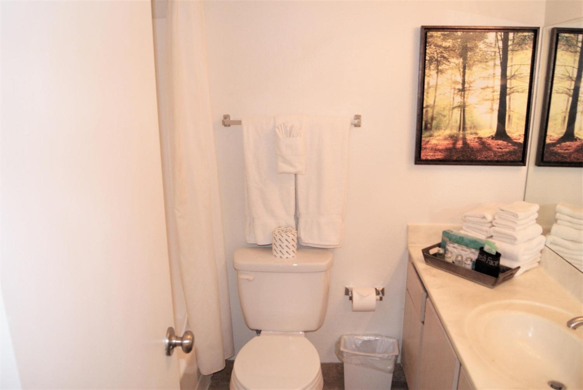 127 Fully Furnished 1br Suite-prime Location Apartment *