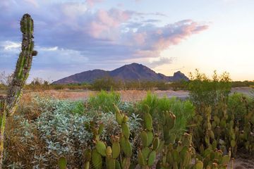 Hotel Homewood Phoenix-scottsdale 3*