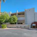 Exquisite 2Br Condo W Pool Near Old Town