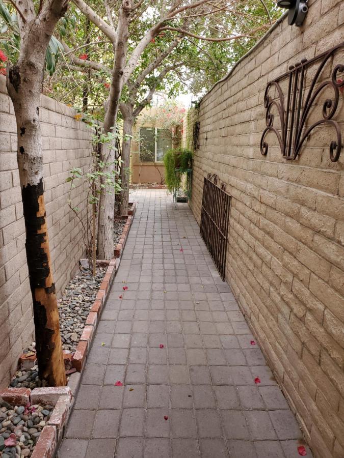Apartment Desert Rose - Private One Bedroom In Old Town *